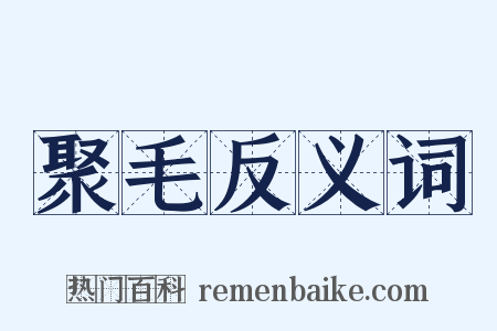 聚毛反义词是什么意思的图片